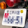 211-5252 にゃんばーボルト KIJIMA(キジマ) 73533665