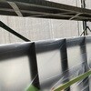 4040 国産ポリシート 日大工業 73540093