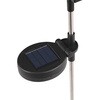 NB-0543PR SOLAR NEON LIGHT PARROT(ソーラーネオンライトパロット) ダルトン 73550508