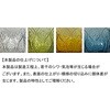 A615-818GN GLASS CUP & SAUCER ''FIORE''(グラスカップ&ソーサー”フィオーレ”) ダルトン 73550928