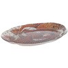 K20-0133OCT GLASS FISHERY PLATE OCTOPUS(ガラスフィッシャリープレートオクトパス) ダルトン 73551007