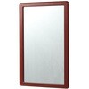 WALL MIRROR(�E�H�[���~���[)
