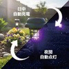 IB-434 ソーラー2WAY電撃殺虫ライト インターベース 73578289