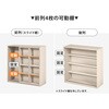RCC-1564BR スライド式本棚 前後2列 縦に連結できる【 幅90 (扉収納付き) 】 本棚 大容量 漫画 収納 扉付き ブックシェルフ ブックラック ロータイプ 高さ調節 連結可 萩原 73630509