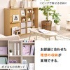 RCC-1565NA スライド式本棚 前後2列 縦に連結できる【 幅120 (扉収納付き) 】 本棚 大容量 漫画 収納 扉付き ブックシェルフ ブックラック ロータイプ 高さ調節 連結可 萩原 73630545