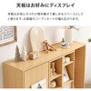RCC-1565NA スライド式本棚 前後2列 縦に連結できる【 幅120 (扉収納付き) 】 本棚 大容量 漫画 収納 扉付き ブックシェルフ ブックラック ロータイプ 高さ調節 連結可 萩原 73630545
