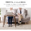 MT-6484WS 折りたたみ ソファ テーブル 幅60cm 軽量 持ち運び おしゃれ 【 完成品 】 萩原 73631349