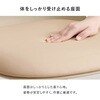 BC-8655LT-2S ダイニングチェア 2脚セット カフェ風 PPクッション付き 韓国インテリア くすみカラー パステル 萩原 73631410
