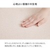 BC-8656BE-2S ダイニングチェア 2脚セット カフェ風 ファブリック クッション付き 韓国インテリア くすみカラー パステル 萩原 73631428