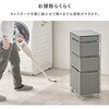 RAN-2465NA キャスター付き ランドリーチェスト ランドリーラック 【選べる3サイズ】 幅20 / 25 / 30cm スリム 隙間収納 脱衣所 収納 萩原 73631997