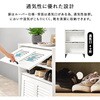 RSR-1528WS フラップ & ルーバー扉 シューズボックス 幅61cm 【 2扉タイプ 】 靴箱 可動棚 大容量 おしゃれ 省スペース 高通気性 萩原 73632040