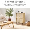 RSR-1528WS フラップ & ルーバー扉 シューズボックス 幅61cm 【 2扉タイプ 】 靴箱 可動棚 大容量 おしゃれ 省スペース 高通気性 萩原 73632040