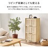 RSR-1529BR フラップ & ルーバー扉 シューズボックス 幅61cm 【 3扉タイプ 】 靴箱 可動棚 大容量 おしゃれ 省スペース 高通気性 萩原 73632049
