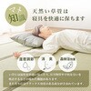 MB-5152S-LBRクラマ <約3分で組立完了> 工具不要&ネジ無し ベッド ネジレス 【  畳マットレスSET コンセント付き 】 和モダン 簡単組立 ベッドフレームのみ シングル 萩原 73632819