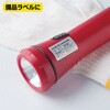 KLPS3011S 屋外用ラベル シルバーフィルム備品用 ヒサゴ 73642302