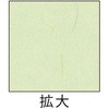 73643404