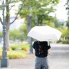 UD-0084 CSPROTECT 手動折畳み傘 晴雨兼用 CAPTAIN STAG 73658701
