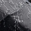 UD-0085 CSPROTECT 手動折畳み傘 晴雨兼用 CAPTAIN STAG 73658710