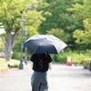 UD-0085 CSPROTECT 手動折畳み傘 晴雨兼用 CAPTAIN STAG 73658710