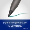 TR-IPD-SPTIP-BK Apple Pencil専用 交換ペン先 4個セット ブラック トリニティ 73662569