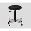 CA-35 �i�[�X�E���җp�`�F�A[���[���h�^�C�v] �A�Y���� 73665655
