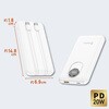 PF10 全固体 モバイルバッテリー PD20W 機内持ち込み可能 4台同時充電 急速充電 電池残量ディスプレイ搭載 USB-C内蔵ケーブル2本 Bigblue Tech(ビッグブルーテック) 73666069