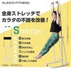 FA893 ぶら下がり健康器 ぶらさがりくん 高さ5段階 シンプル コンパクト設計 アルインコ 73666121