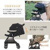 41551 Joie Signature ベビーカー エアドリフト フレックス (生後1-36か月頃まで) カトージ 73666130
