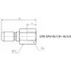 CPR-SPV×Rc3/8 ステンレス製カップル.A プラグメス アオイ 73667749