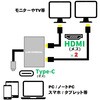 LUH-CH2DUAL Type-C(オス) to HDMI(メス)x2 映像変換アダプタ ルーメン 73674968