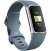 FB421SRBU Fitbit Charge5 Fitbit 73772476