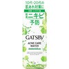 - ギャツビー 薬用アクネケアウォーター マンダム 73781594