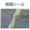 3.34-7.95m 三連はしご(アルミ製) エスコ