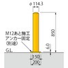 73889954