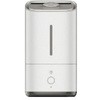 上部給水型超音波噴霧器 ハセッパー 永大鉱業
