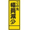 74173533