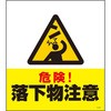 74174888