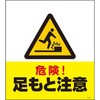 74174906