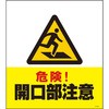 74174915