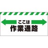 74175387
