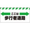 74175396