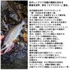 #95M(552007) 26 遡 エアマスター DAIWA(ダイワ)[船舶用品・漁業資材] 74819398