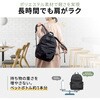200-BAGBP037BK キャリングバッグ リュックタイプ サンワダイレクト 74825461
