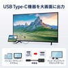 500-KC051-10 USB TypeC変換ケーブル USB TypeC-HDMI 4K60Hz対応 サンワダイレクト 74825549