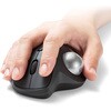 400-MABALL34S 交換ボール トラックボール用 サンワダイレクト 74825881