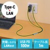 500-LAN6KCPD01 LAN変換ケーブル CAT6 RJ-45/USB TypeC サンワダイレクト 74826328