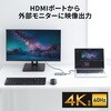 USB-5TCHLP7S ドッキングハブ USB TypeC サンワサプライ 74996595