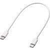 PDA-PEN60W タッチペン Apple iPad専用 充電式極細 サンワサプライ 74996665