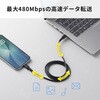 KU-CCP6010TK2 USB TypeCケーブル USB2.0 PD60W対応 サンワサプライ 74996735