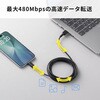 KU-CA20TK2 USB TypeC-Aケーブル USB2.0 サンワサプライ 74996769